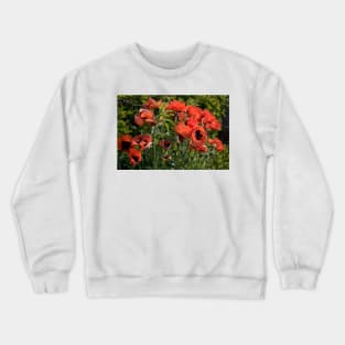 Blood Red Backlit Poppies - rework Crewneck Sweatshirt